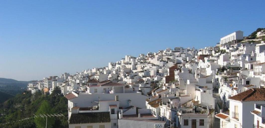 Exclusivo 2 Torrox
